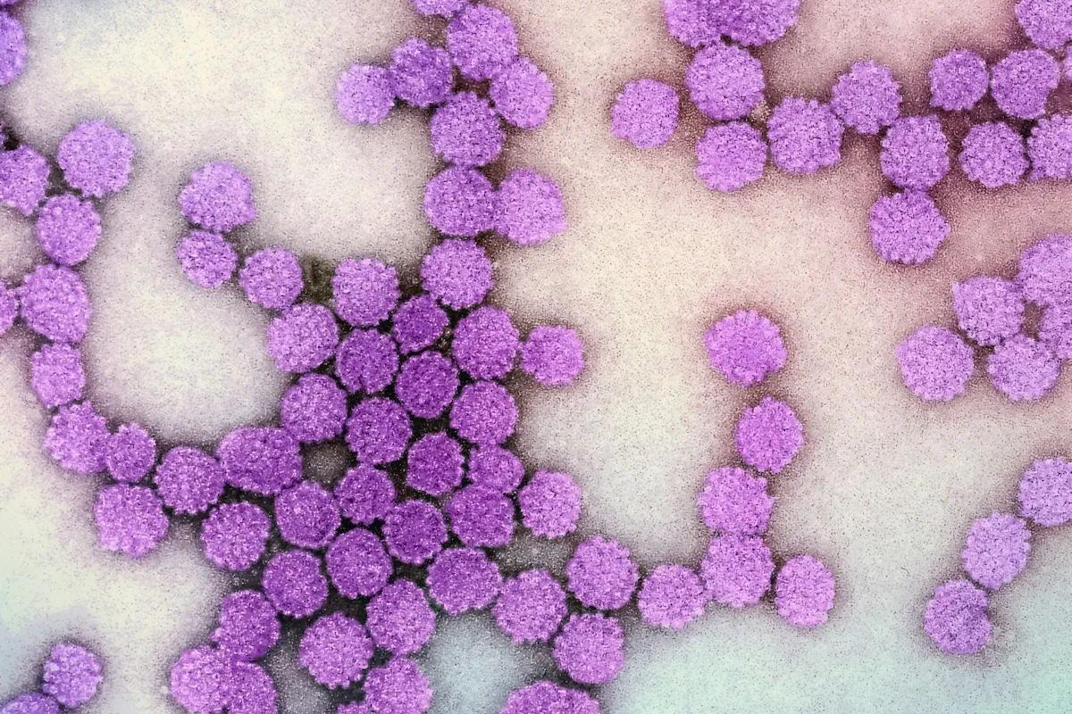 hpv