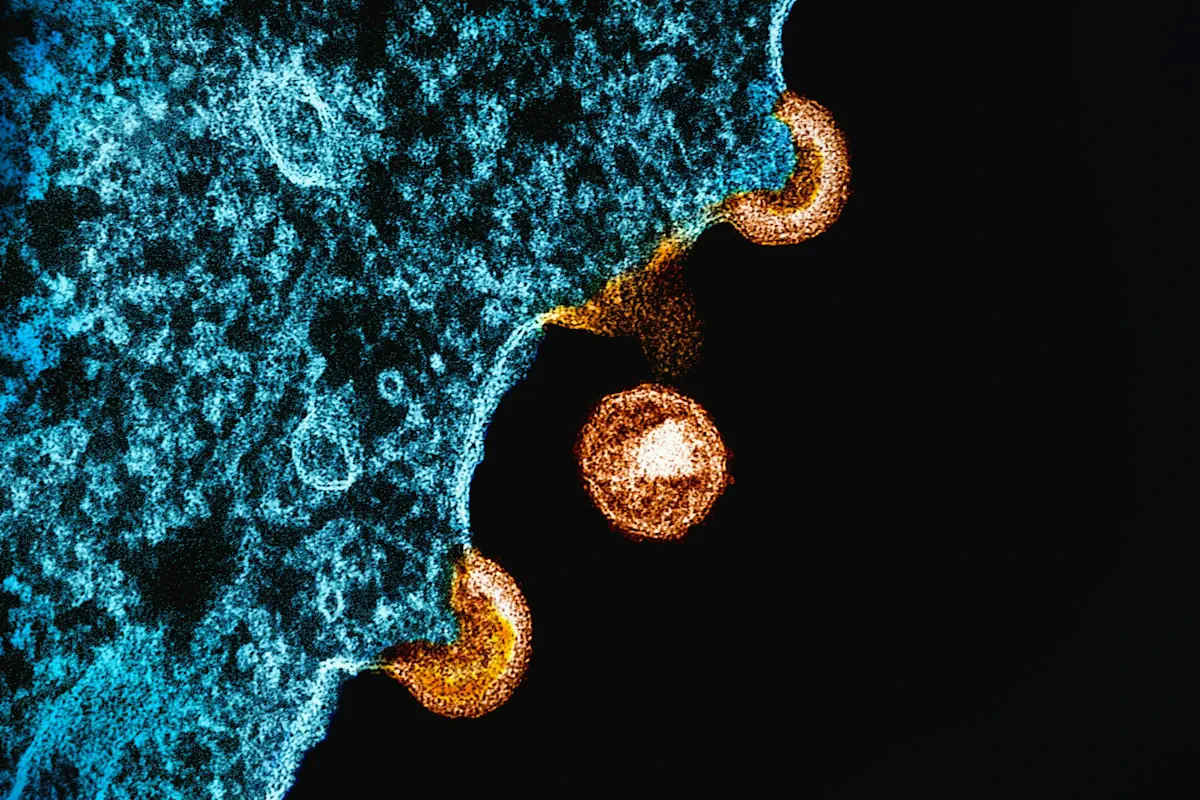 hiv-virus-smitta